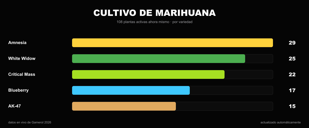 [Image: marihuana-cultivo.png]